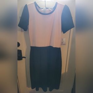 Lularoe XL Amelia Midi Dress Babydoll Pink Black Mod Style Dot Warner Costume